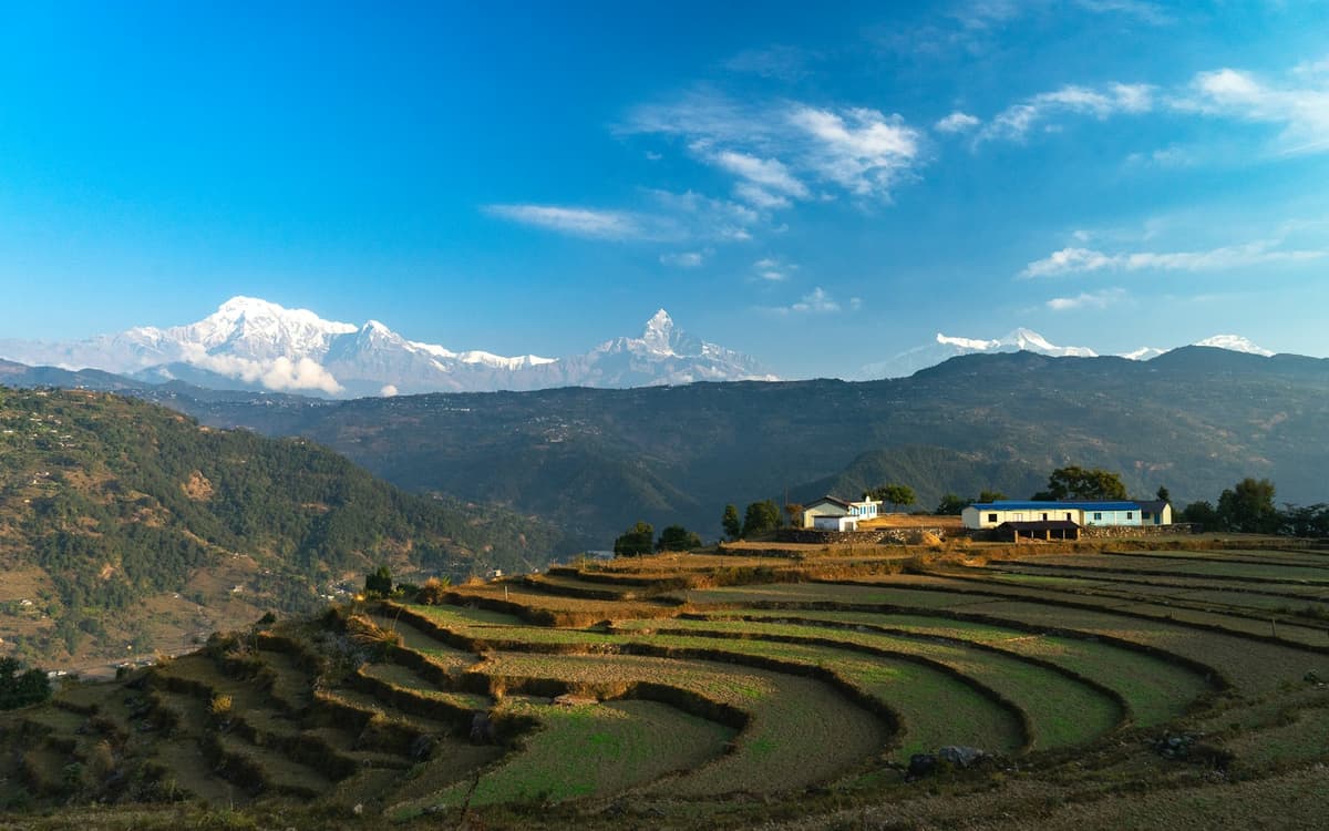 Terraced fields on a hillside in Nepal with the Himalaya behind