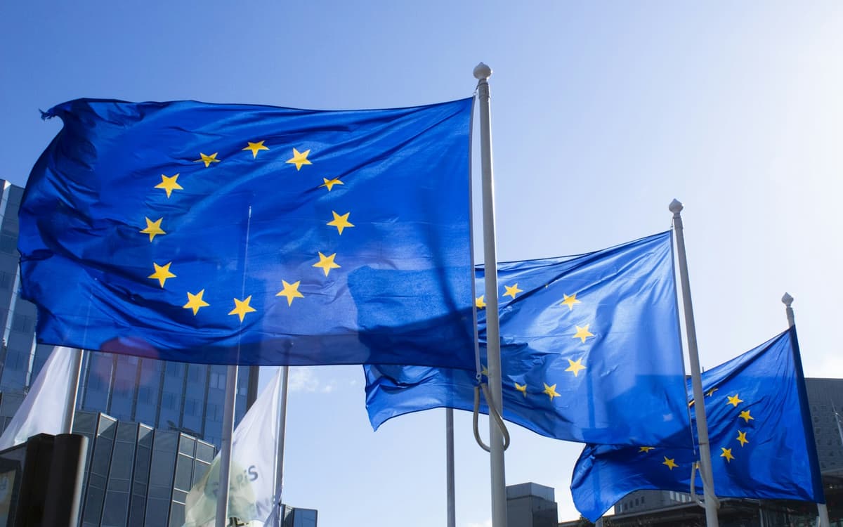 European Union flags flying outside a building